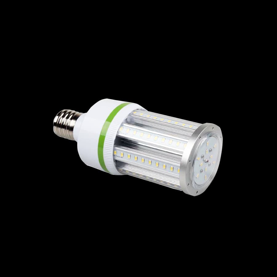 Corn Bulb product photo
